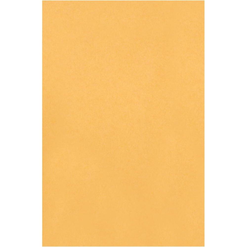 imageQuality Park 6 x 9 Clasp Envelopes Clasp and Gummed Closures for Storing or Mailing 28 lb Kraft Paper 100 per Box QUA378555 x 75 Inches