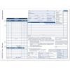 Adams Garage Repair Order Forms, 8.5 x 11 Inch, 3 Parts, 250-Count, White and Canary and White Tag (GT3811)(1-pack)