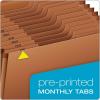 Globe Weis /Pendaflex Heavy Duty Expanding File with Flap, 12 Monthly Pockets, 1/3 Cut Tabs, Brown, Letter Size (R117MLHD)(1 Count (Pack of 1))