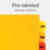 Oxford Plastic Monthly Dividers for 3 Ring Binders, 12 Multicolor Preprinted Tabs, Jan-Dec, Letter Size, 2 Pack (89608)