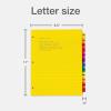 Oxford Plastic Monthly Dividers for 3 Ring Binders, 12 Multicolor Preprinted Tabs, Jan-Dec, Letter Size, 2 Pack (89608)