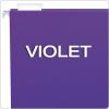 Pendaflex Recycled Hanging Folders, Letter Size, Aqua, 1/5 Cut, 25/BX (81616)(Violet)