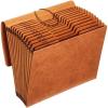 Globe Weis /Pendaflex Heavy Duty Expanding File with Flap, 12 Monthly Pockets, 1/3 Cut Tabs, Brown, Letter Size (R117MLHD)(1 Count (Pack of 1))
