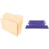 Pendaflex File Folders, Letter Size, 8-1/2″ x 11″, Classic Manila, 1/3-Cut Tabs in Left, Right, Center Positions, 100 Per Box (65213)(1/3 Cut  100 Box + File Folder Tabs  25/Pack)