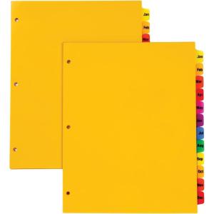 Oxford Plastic Monthly Dividers for 3 Ring Binders, 12 Multicolor Preprinted Tabs, Jan-Dec, Letter Size, 2 Pack (89608)