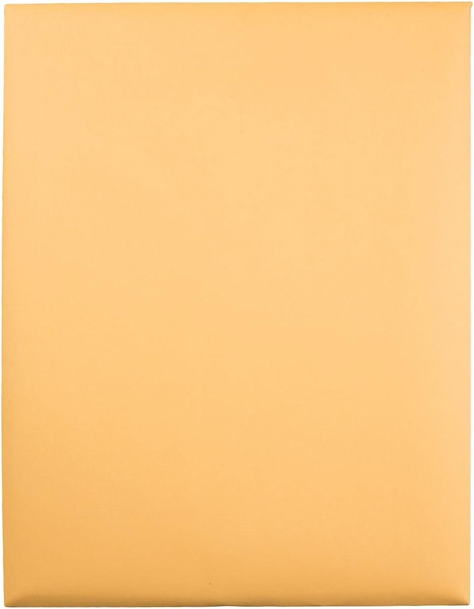 imageQuality Park 12 x 1512 Clasp Envelopes Clasp and Gummed Closures for Oversized Papers Drawings or Posters 32 lb Kraft Paper 100Box QUA3781012 x 155