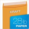 Columbian 10 x 13 Catalog Envelopes with Self Seal Closure, 28 lb Brown Kraft, for Mailing Flat Letter Size Documents or Photos, 100 Per Box (COLO335)(Large)