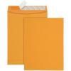Quality Park 10 x 13 Catalog Envelopes with Self Seal Closure, 28 lb Brown Kraft, Great Option for Mailing, Storage and Organizing, 100 per Box (44762)(Brown Kraft)
