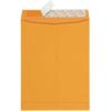 Quality Park 10 x 13 Catalog Envelopes with Self Seal Closure, 28 lb Brown Kraft, Great Option for Mailing, Storage and Organizing, 100 per Box (44762)(Brown Kraft)