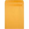 Quality Park 9 x 12 Catalog Mailing Envelopes, Redi-Seal Self Seal Envelope Closure, 28 lb Kraft Paper, 250 per Box (QUA43562)(Envelope + 10 x 13)