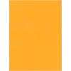 Quality Park 9 x 12 Catalog Mailing Envelopes, Redi-Seal Self Seal Envelope Closure, 28 lb Kraft Paper, 250 per Box (QUA43562)(Envelope)