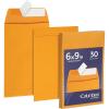 Columbian 6 x 9 Catalog Envelopes with Self Seal Closure, 28 lb Brown Kraft, for Mailing Small Paper, Photos & Greeting Cards, 30 Per Pack (COLO403)(Small)