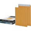 Quality Park 9″ x 12″ Self-Seal Catalog Envelopes, for Mailing, Organizing and Storage, Brown Kraft, Heavy 28-lb Paper, 100 Per Box (QUA44562)(100 Count (Pack of 1))