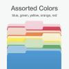 Pendaflex File Folders, Two-Tone Assorted Colors, Letter Size, 1/3 Cut Tabs, Office Organization, Box of 100 Folders (1006535)