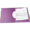 Pendaflex PileSmart Project Sorter, Letter Size (50995)(1 PACK)