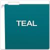 Pendaflex Recycled Hanging Folders, Letter Size, Navy, 1/5 Cut, 25/BX (81615EE)(Teal)