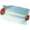 Quality Park Survivor R1530 Tyvek USPS First Class Mailer, 9 1/2 x 12 1/2, White (Box of 100)(9-1/2 x 12-1/2)