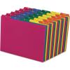 Pendaflex 40143 Top Tab File Guides, Daily/1-31, 1/5 Tab, Polypropylene, Letter (Set of 31) , Blue;green;magenta;strawberry;yellow(1-Pack)