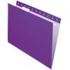 Pendaflex Recycled Hanging Folders, Letter Size, Navy, 1/5 Cut, 25/BX (81615EE)(Violet)