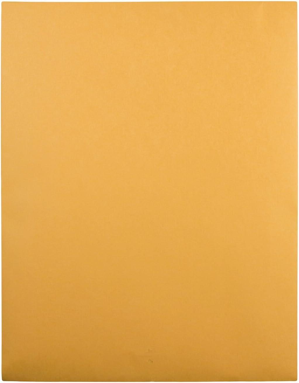 imageQuality Park 12 x 1512 Clasp Envelopes Clasp and Gummed Closures for Oversized Papers Drawings or Posters 32 lb Kraft Paper 100Box QUA3781012 x 155