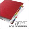 Pendaflex Expanding Desk File, Daily (1–31), Letter Size, Blue, Each (11013) (11013EE) , Black(Red)