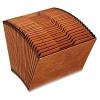 Pendaflex R217DHD Heavy-Duty Expanding Open Top File, 31 Pockets, 1/3 Tab, Letter, Brown(31 Pockets)