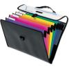 Pendaflex Hanging Organizer, All-in-1 Wall Organizer/Pocket Chart, Black with Bright Color Folders, Poly Carry Case, Letter Size (52891), Black/Assorted(1 Count (Pack of 1))
