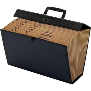 Pendaflex Globe-Weis 19-Pocket File Express Case (11170) (Colors May Vary),Assorted Colors, Legal(Assorted Colors)