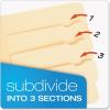 Pendaflex Divide It Up File Folders, Letter Size, Manila, 24/Pack (10770)(24 Count (Pack of 1))