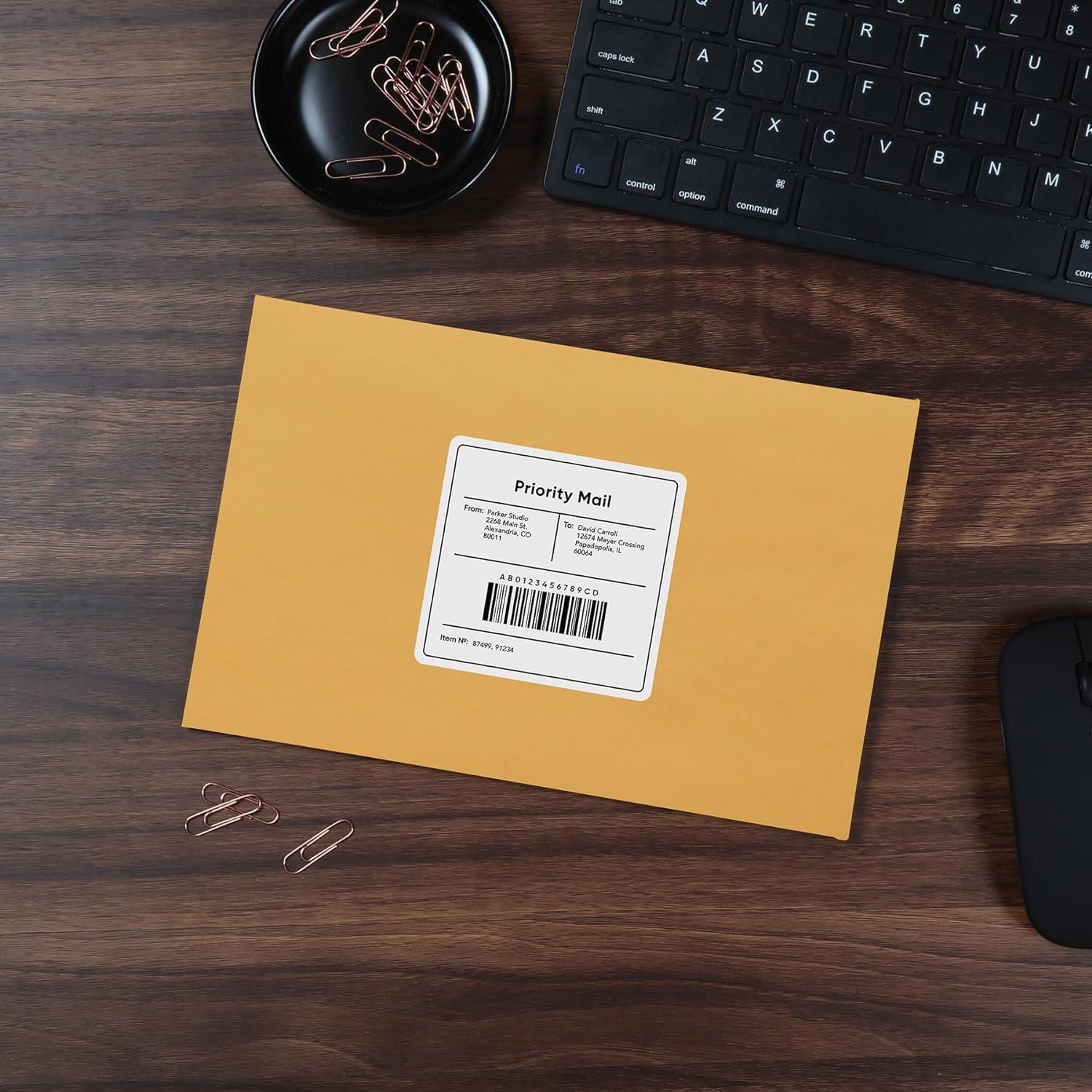 imageQuality Park Clasp Envelopes 65 x 95 Inch Brown Kraft Catalog Envelopes for Mailing Small Business Papers Gummed Closure Box of 100 QUA37863100 Count Pack of 10