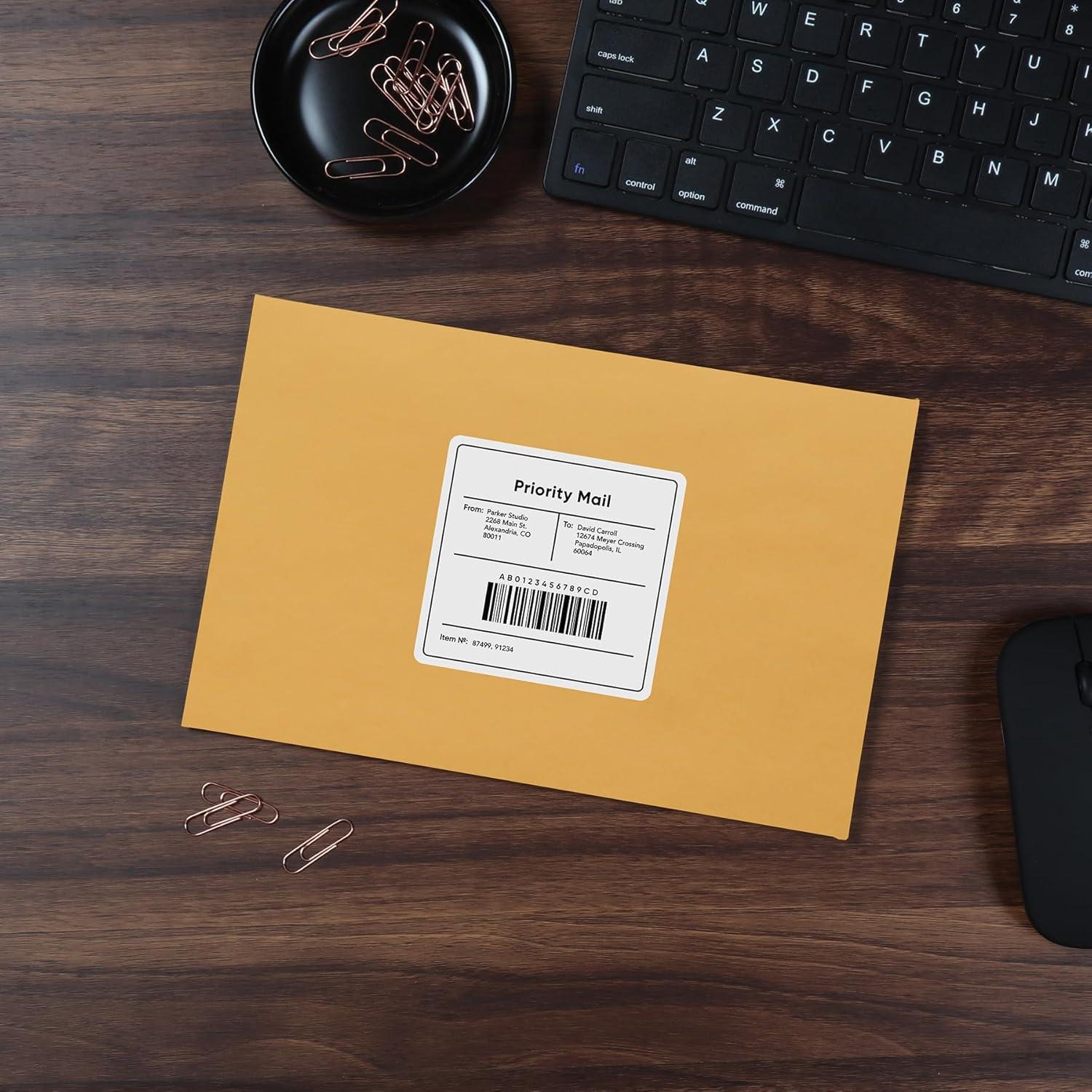 imageQuality Park Clasp Envelopes 65 x 95 Inch Brown Kraft Catalog Envelopes for Mailing Small Business Papers Gummed Closure Box of 100 QUA37863100 Count Pack of 1