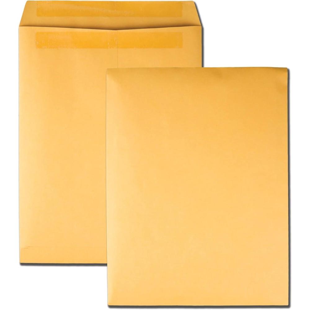 imageQuality Park 612 x 912 Catalog Mailing Envelopes RediSeal Self Seal Envelope Closure 28 lb Kraft Paper 250 per Box QUA4336210 x 13