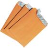 Quality Park 6 x 9 Catalog Mailing Envelopes, Redi-Strip Self Seal Envelope Closure, 28 lb Kraft Paper, 100 per Box (QUA44162)