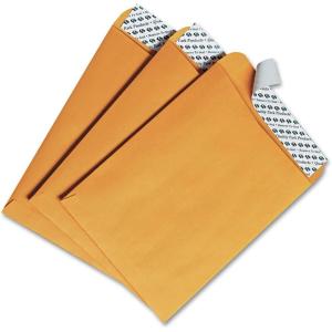Quality Park 6 x 9 Catalog Mailing Envelopes, Redi-Strip Self Seal Envelope Closure, 28 lb Kraft Paper, 100 per Box (QUA44162)
