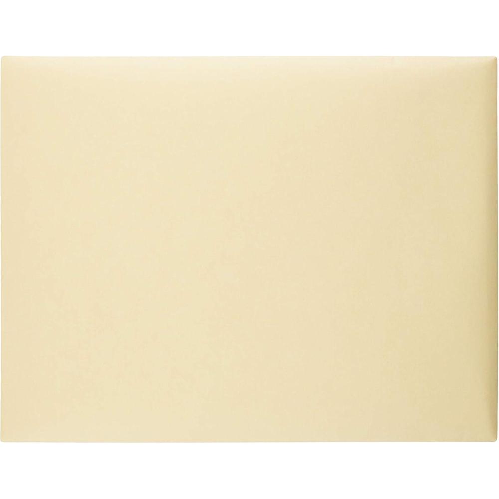 imageQuality Park Document Envelopes Gummed Cameo Buff 10x15 100 per Box 54416 LargeLarge