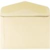 Quality Park, Document Envelopes, Gummed, Cameo Buff, 10×15, 100 per Box (54416), Large(Large)