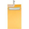 Quality Park Expansion Envelopes, Plain, 40 lbs., 10 x 13 x 2 Inches, 25 per Pack, Kraft (93336), Light Brown(10 x 13 – 2″ Expansion (Pack of 4))