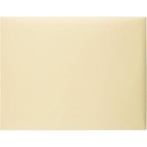 Quality Park, Document Envelopes, Gummed, Cameo Buff, 10×15, 100 per Box (54416), Large(Large)