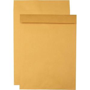 Quality Park Jumbo Kraft Envelopes, 12-1/2 x 18-1/2, Ungummed Catalog Envelopes for Storing and Organizing, 28 lb Kraft Paper, 25 per Box (QUA42353), Light Brown(17 x 22)