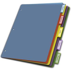 Cardinal Plastic Binder Dividers without Pockets, 5-Tab, Insertable Multicolor Tabs, Letter Size,1 Set (84018), Assorted(5 Count (Pack of 1))