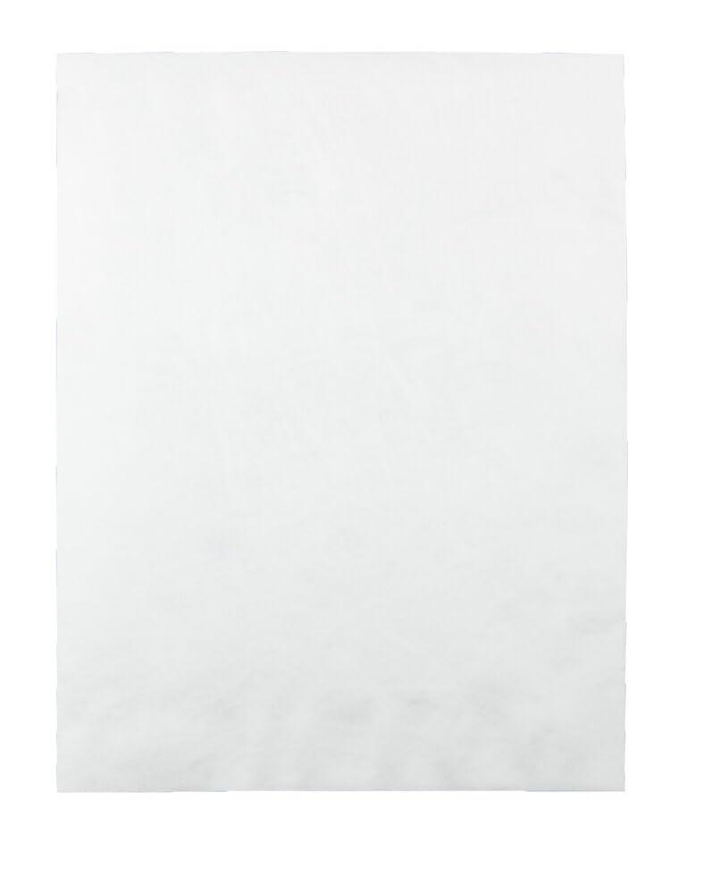 image:imageQuality Park Survivor Shipping Envelopes 10 x 13 Made with Strong Lightweight DuPont Tyvek Material FlapStik Peel and Seal Closure 50Box QUAR1582