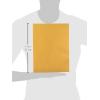 Quality Park 41467 Quality Park Catalog Envelopes, Heavyweight/Gummed, 9×12, 28lb, Kraft, 100/Box(Kraft)
