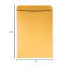 Quality Park Catalog Mailing Envelopes, 12 x 15-1/2 Envelopes, Gummed, Heavy 28 lb. Kraft Paper, For Mailing, Organizing and Storage, 250 per Box (QUA41965), Light Brown