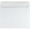 Quality Park Large Format/Catalog Envelopes, 10 x 13, White, Box of 100 (QUA37613)