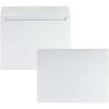 Quality Park Large Format/Catalog Envelopes, 10 x 13, White, Box of 100 (QUA37613)