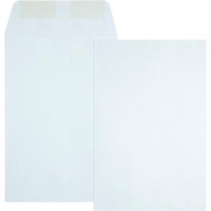 Quality Park Catalog Mailing Envelopes, 6 x 9 Envelopes, Gummed, Premium 24 lb. White Wove Paper, Greeting Card Size, For Mailing, Organizing and Storage, 500 per Box (QUA40788)(White)