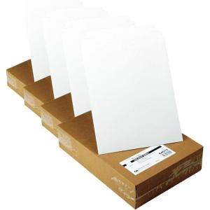Quality Park Photo/Document Mailer, Redi-Strip, White, 9.75×12.5, 25 per box (64015)(9.75 x 12.5 (Pack of 4))