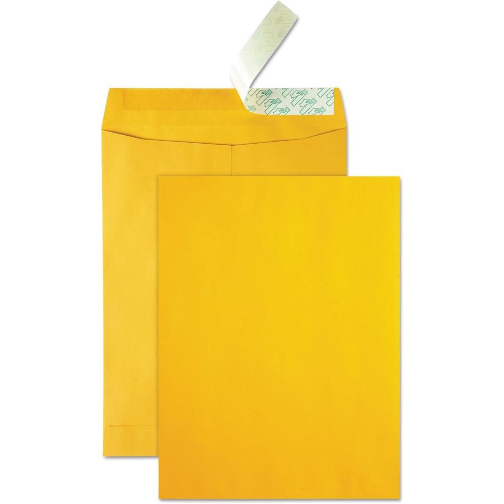 image:imageQuality Park High Bulk Catalog Envelope 9 x 12 Inches Kraft RediStrip Box of 250 41420