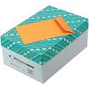 Quality Park Catalog Envelope, 6 x 9 Inches, Brown Kraft, Carton of 100 (40767), 500 Count