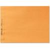 Quality Park Clasp Envelopes, Gummed, Brown Kraft, 9 x 12, 100 per Box, (QUA43090)